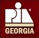Professional Insurance Agents of Georgia